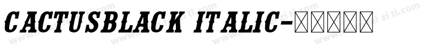 CactusBlack Italic字体转换
